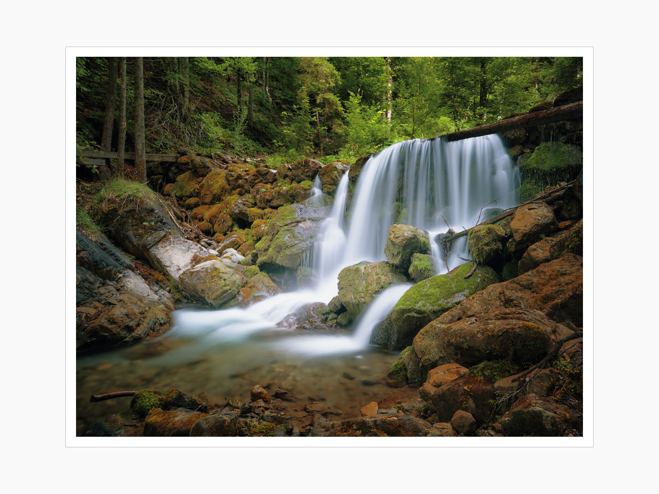 Max Schiefele Alle Bilder DSC00095